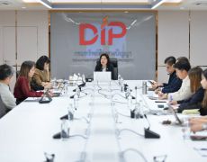 DIP