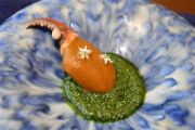 DIP