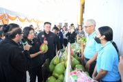 DIP