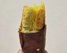 DIP