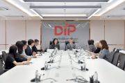 DIP