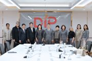 DIP