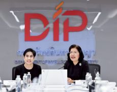 DIP